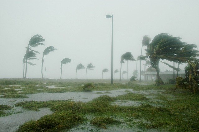 Uragano Milton Devasta la Florida: Ultime Notizie, Impatti e Sforzi di Recupero